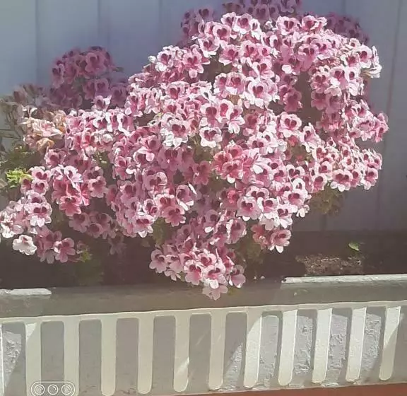 Majatalo Villa Sécurisée Pres Des Lecques