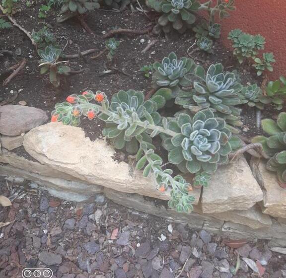 פנסיון Villa Sécurisée Pres Des Lecques