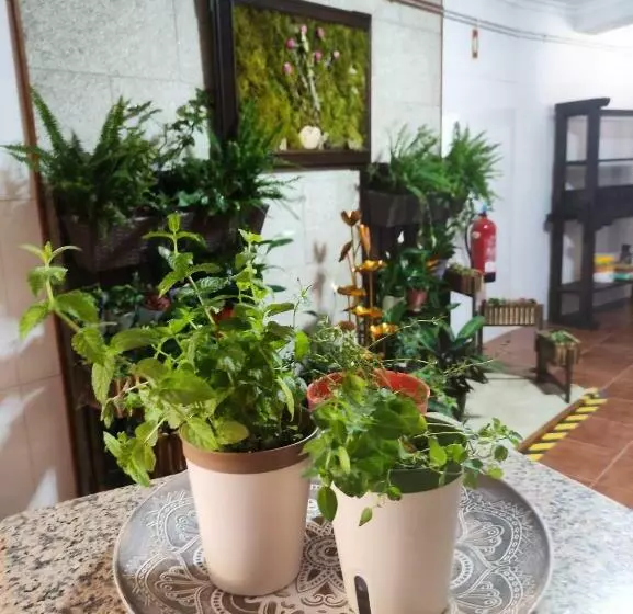 ペンション Zimão Garden House