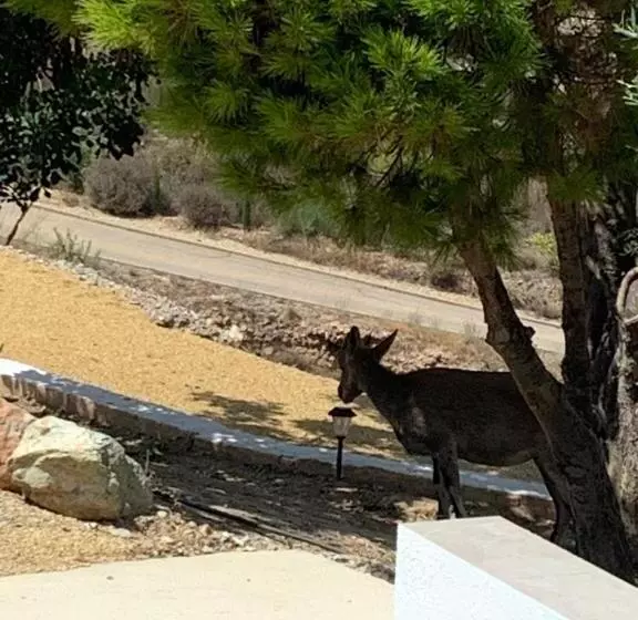 Aamiaismajoitus (B&B) Casa Bédar