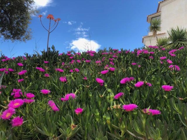 צימר Casa Bédar