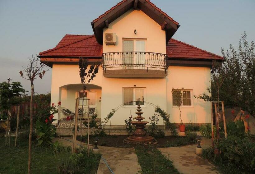 بنسيون Blue Sky House