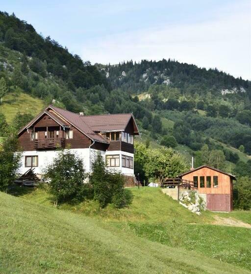 펜션 Cabana Colnic