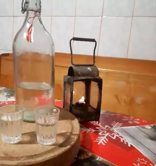 پانسیون Cabana Colnic