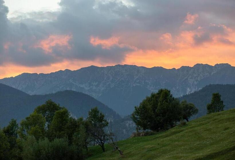 펜션 Cabana Colnic