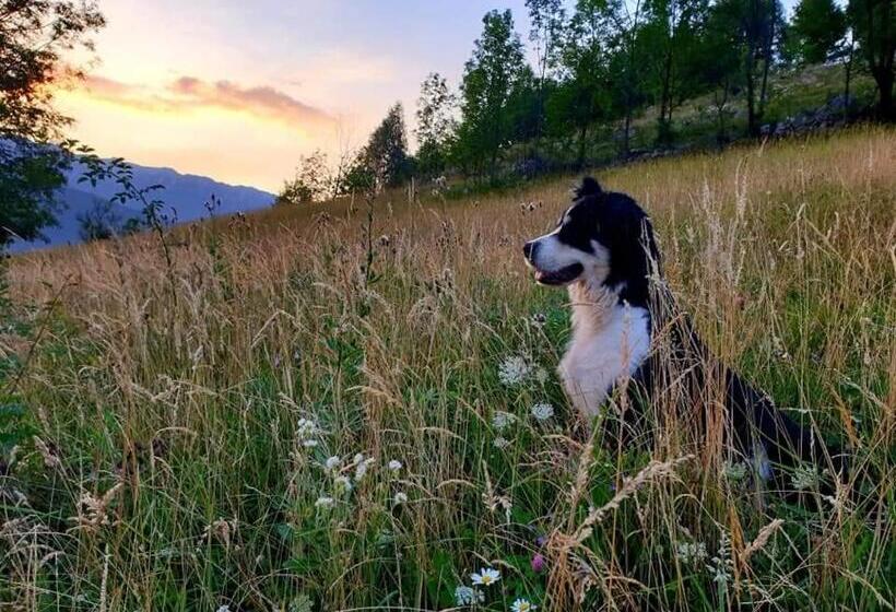 펜션 Cabana Colnic