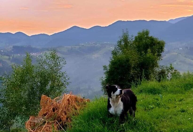 펜션 Cabana Colnic