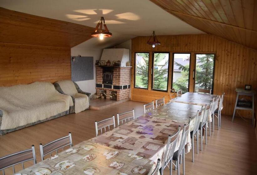 펜션 Cabana Colnic