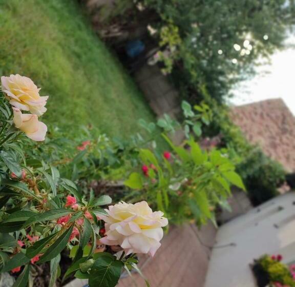 پانسیون Chic Home