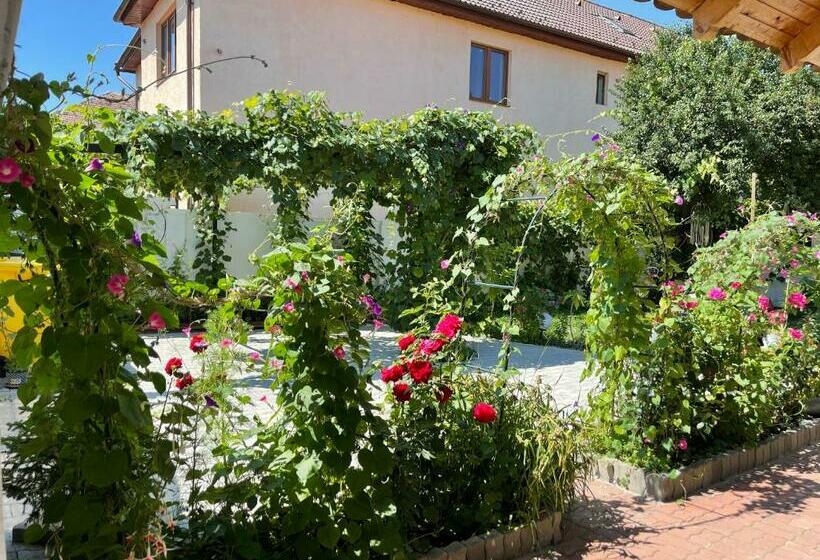 پانسیون Chic Home