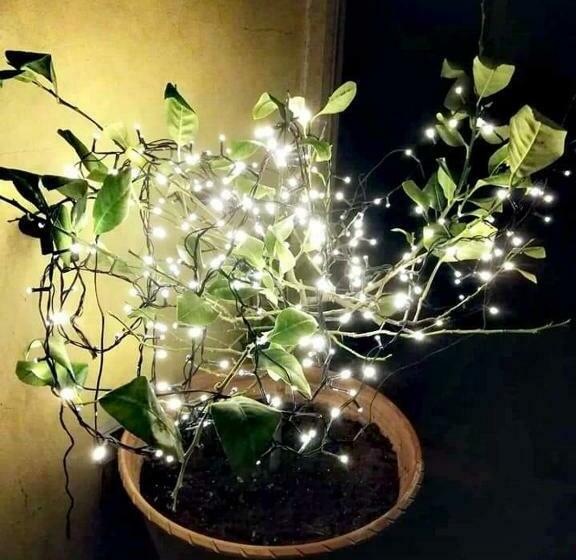 مبيت وإفطار Stanze Di Campagna