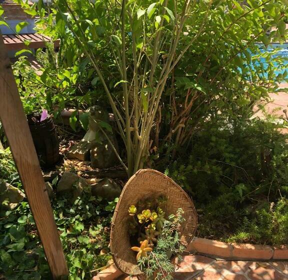 Pensão Alkamar, Un Rincón De Tranquilidad