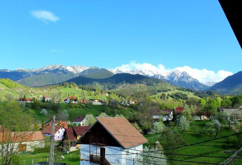 پانسیون Milea S Guesthouse