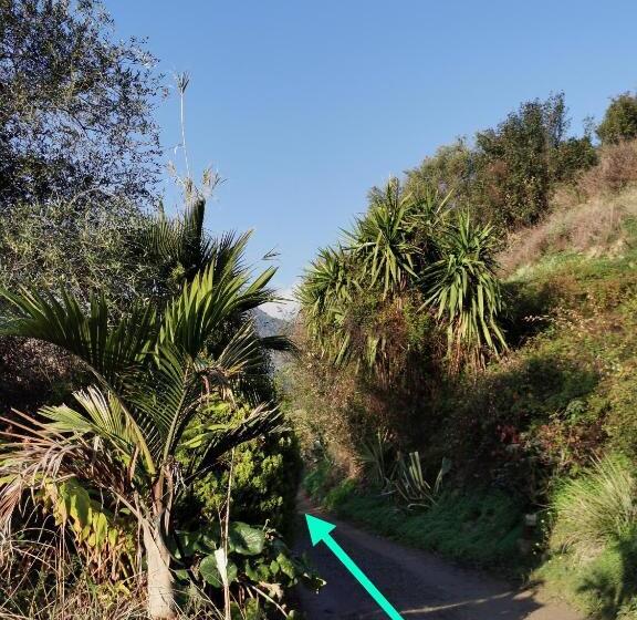 민박 Romantic Casa Lorenzina Affittacamere