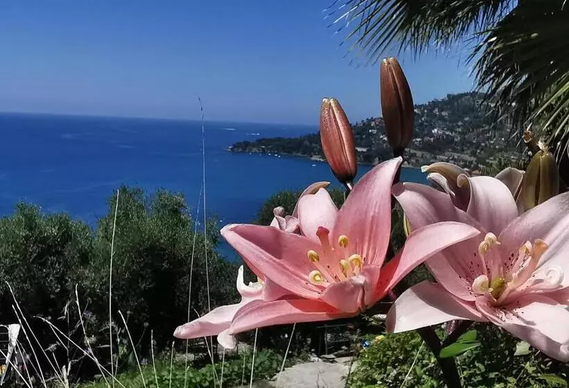 민박 Romantic Casa Lorenzina Affittacamere