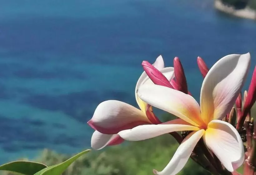 민박 Romantic Casa Lorenzina Affittacamere