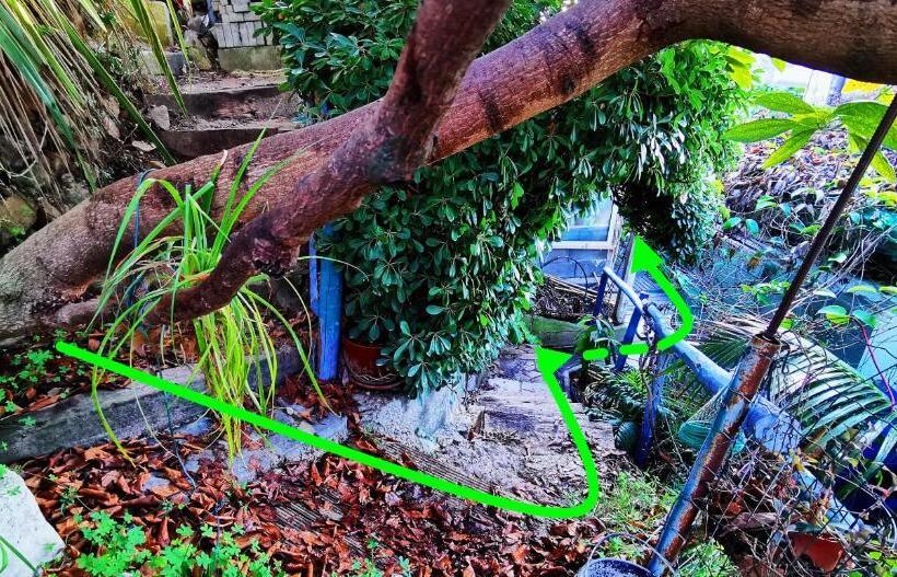 민박 Romantic Casa Lorenzina Affittacamere