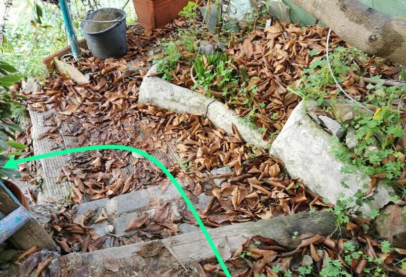 민박 Romantic Casa Lorenzina Affittacamere