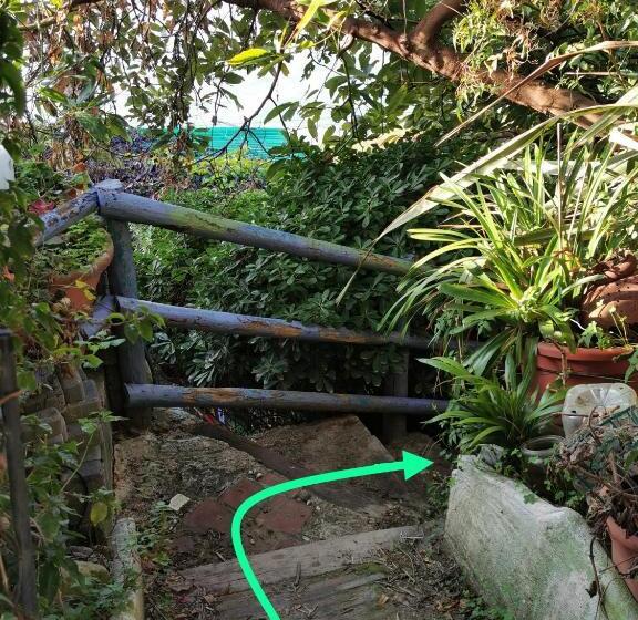 민박 Romantic Casa Lorenzina Affittacamere