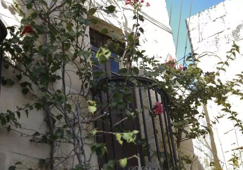 مسافرخانه The Burrow Guest House