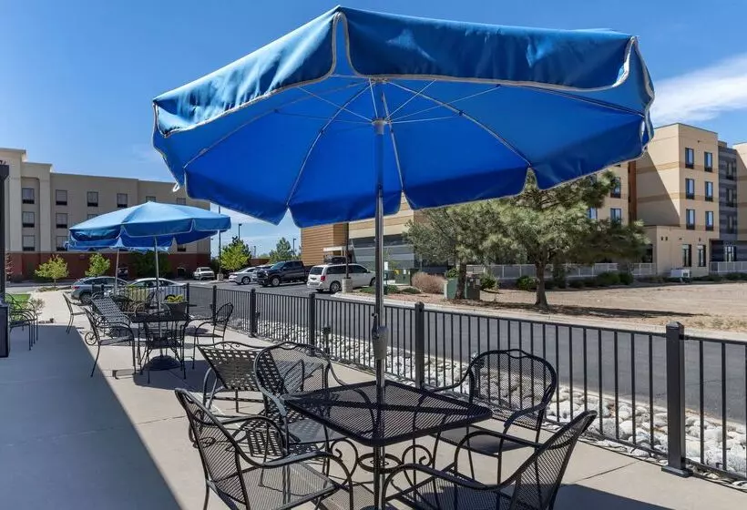 酒店 Best Western Brighton Inn