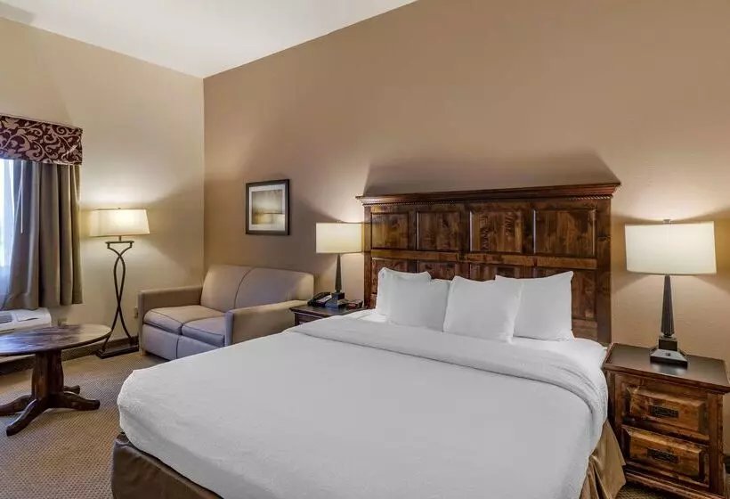 酒店 Best Western Brighton Inn