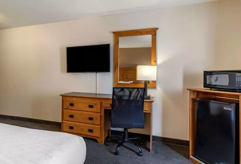 酒店 Best Western Brighton Inn