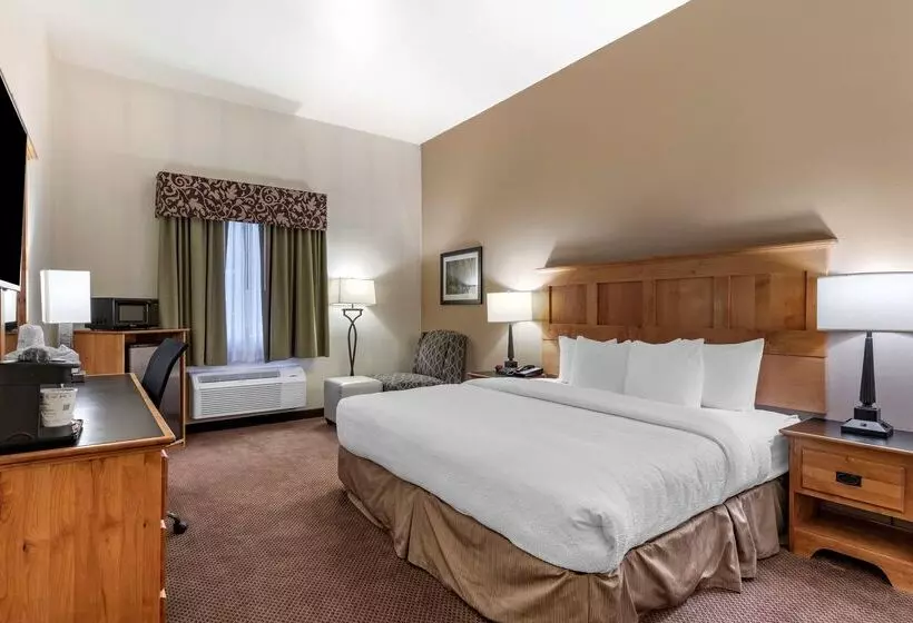 酒店 Best Western Brighton Inn