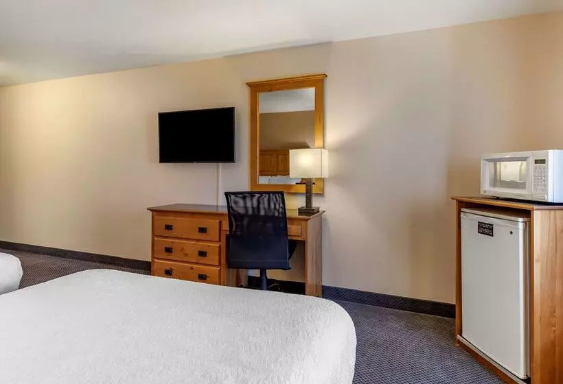 酒店 Best Western Brighton Inn