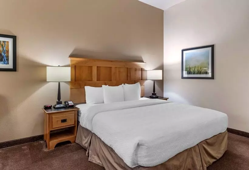 酒店 Best Western Brighton Inn