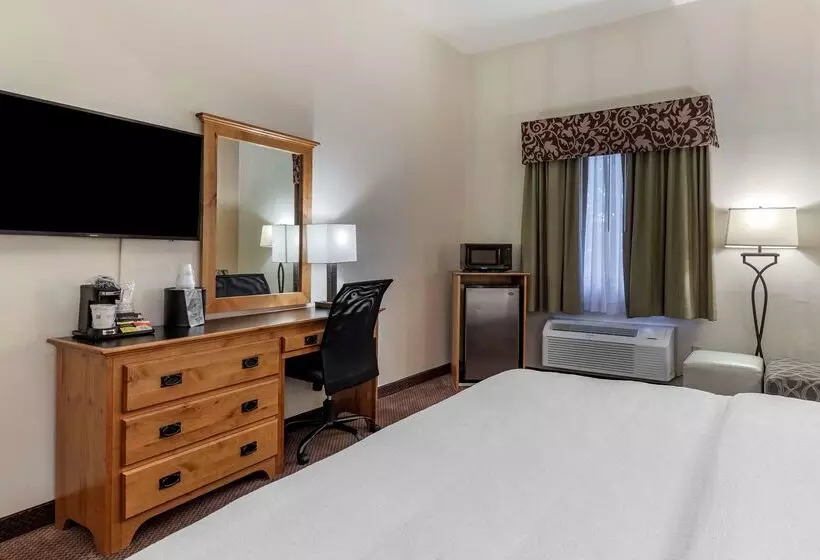 酒店 Best Western Brighton Inn