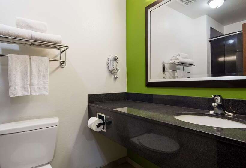 فندق Best Western Douglas Inn & Suites