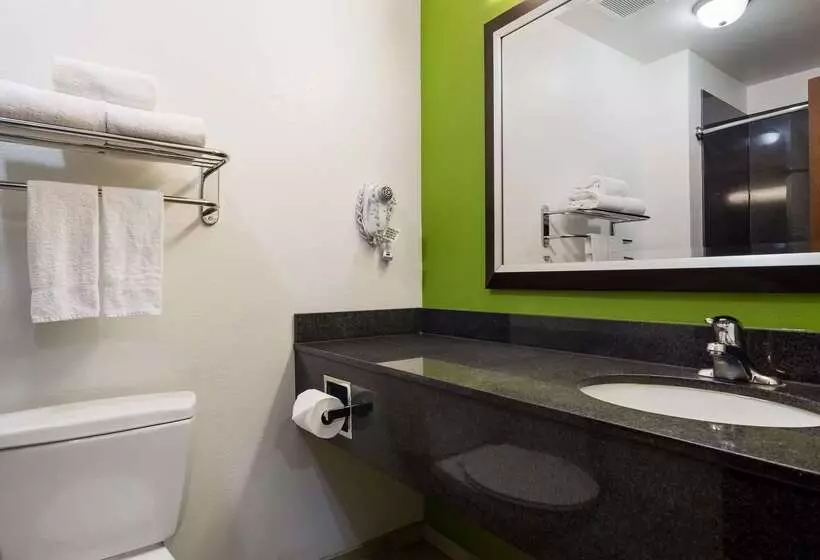 בית מלון כפרי Best Western Douglas Inn & Suites