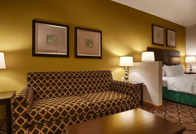فندق Best Western Douglas Inn & Suites
