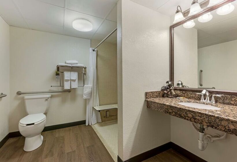 ホテル Best Western Plus Mccall Lodge And Suites