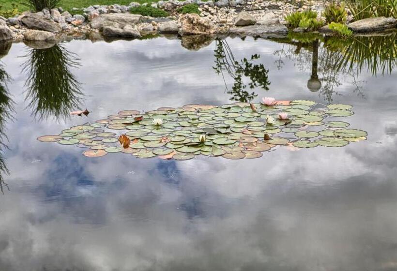 膳宿费 Penzion Fantázia Michalová