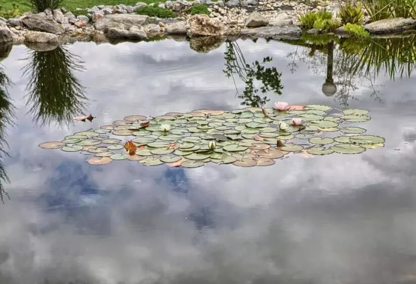 פנסיון Penzion Fantázia Michalová