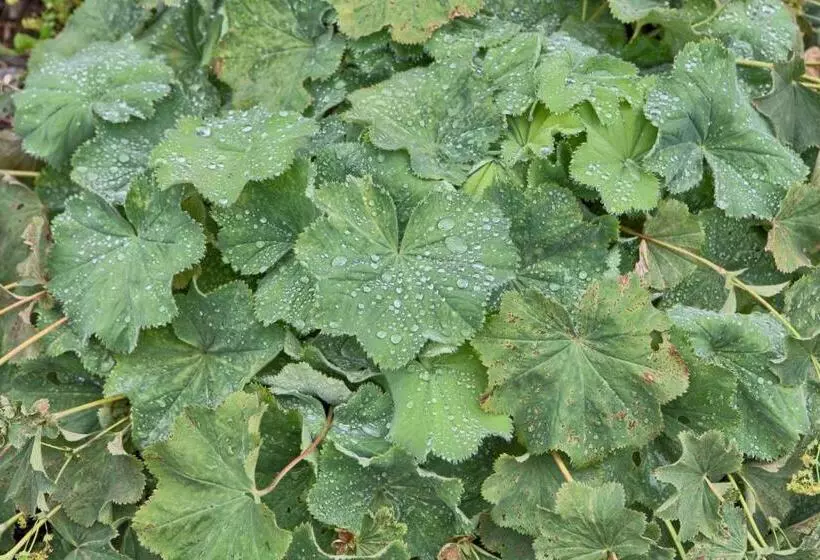 פנסיון Penzion Fantázia Michalová