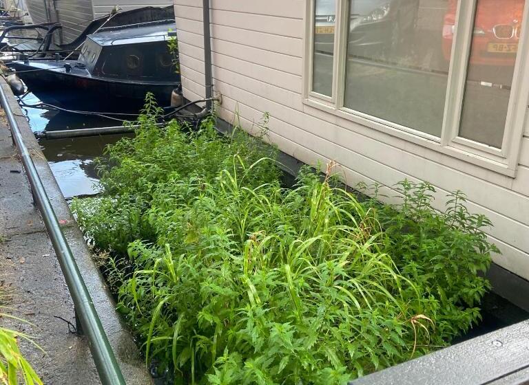 تختخواب و صبحانه Houseboat Bonnie