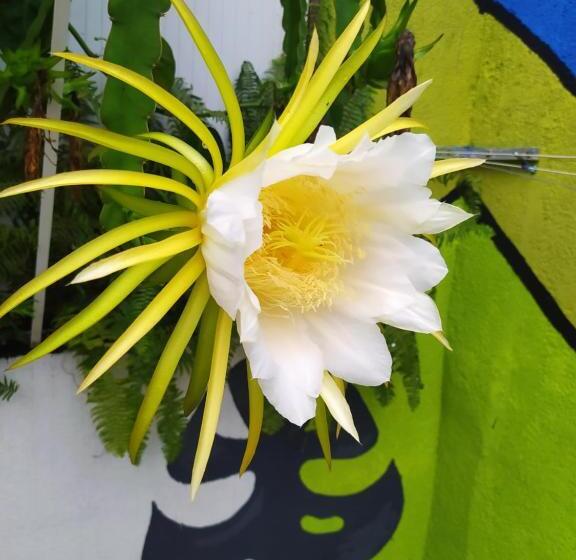 تختخواب و صبحانه Les Baroudeurs Hostel