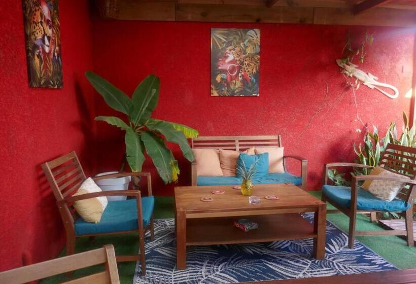 تختخواب و صبحانه Les Baroudeurs Hostel