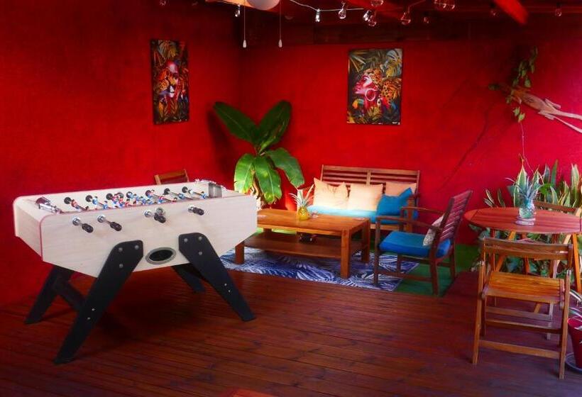 تختخواب و صبحانه Les Baroudeurs Hostel