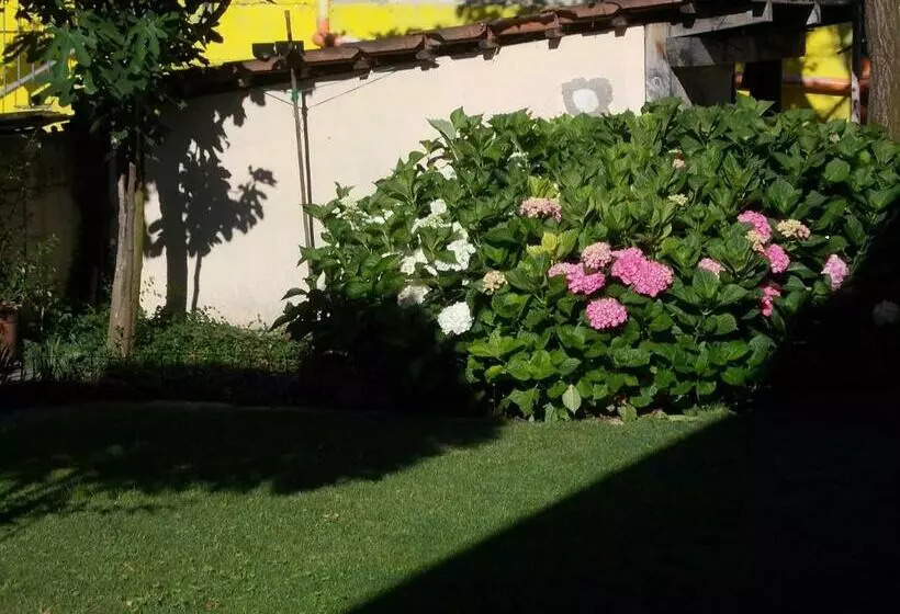 تختخواب و صبحانه Les Hirondelles