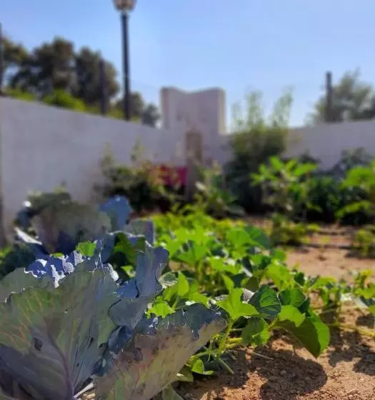 Aamiaismajoitus (B&B) Oasis Sierra