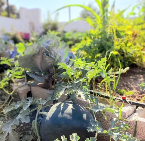 住宿加早餐  Oasis Sierra