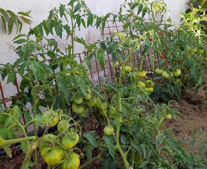 住宿加早餐  Oasis Sierra