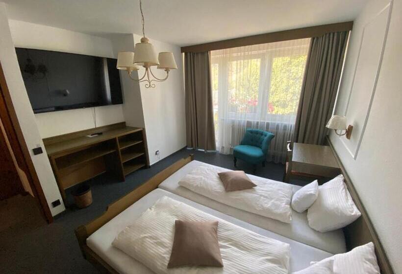 Отель Altes Tor