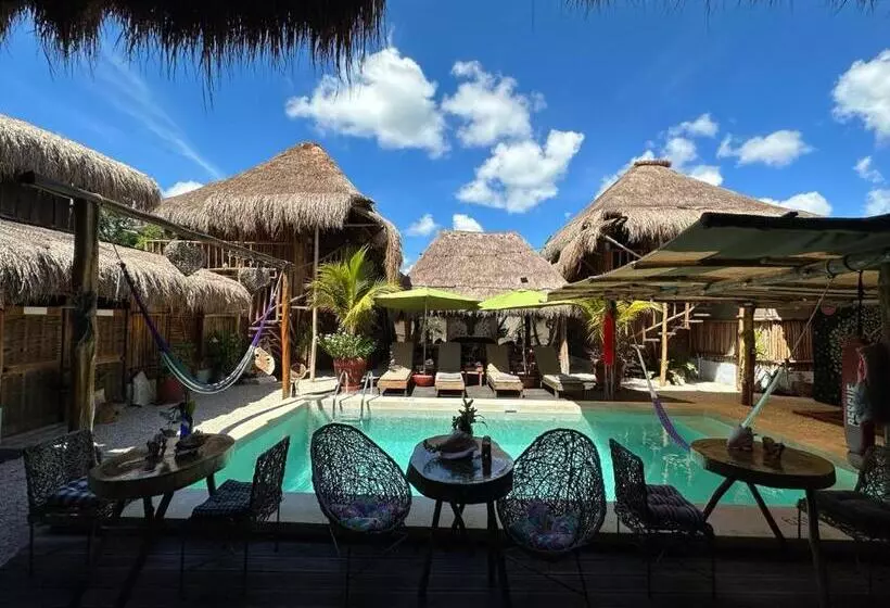 Hotelli Jungla Y Estrellas