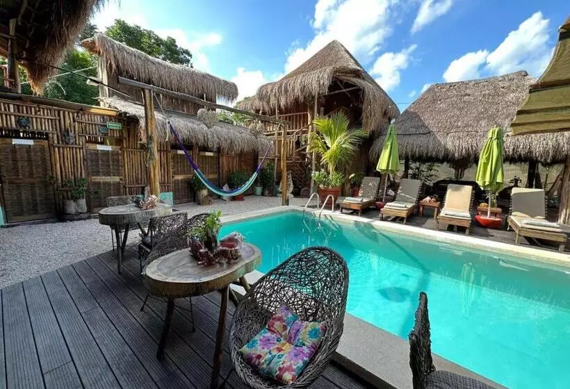 Hotelli Jungla Y Estrellas