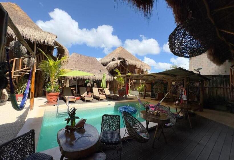 فندق Jungla Y Estrellas